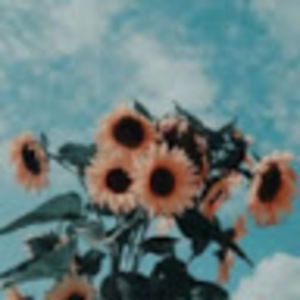 Meet your Posher, Raigan